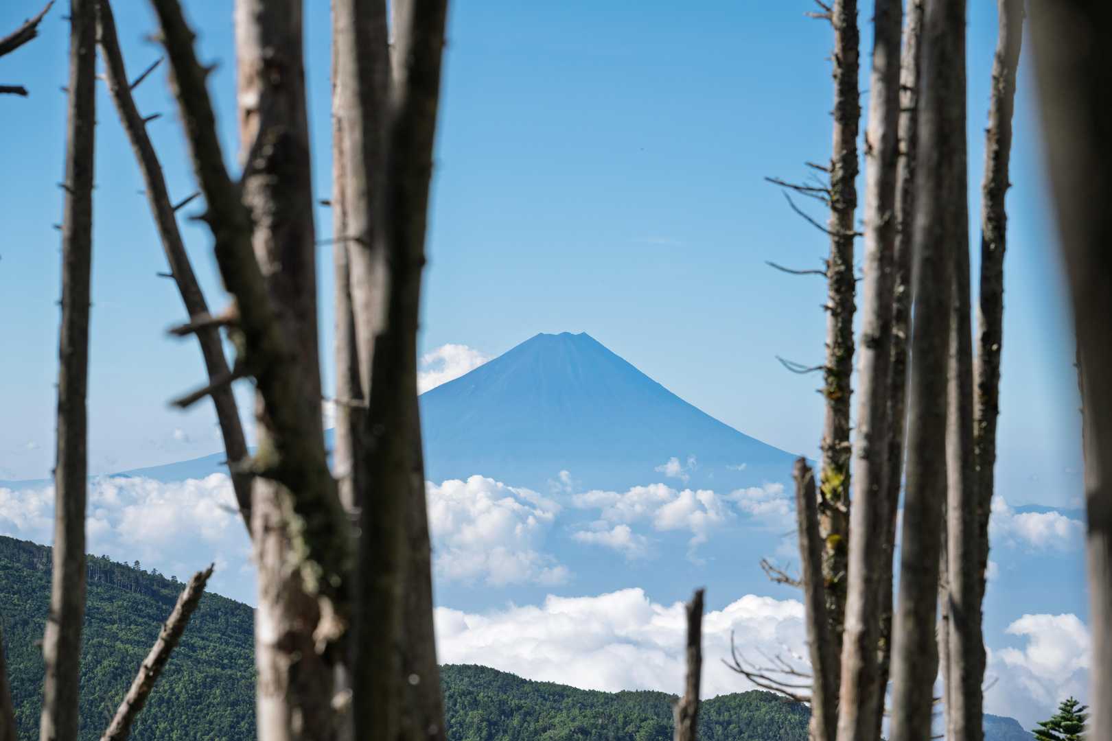 雲上がって来てるな