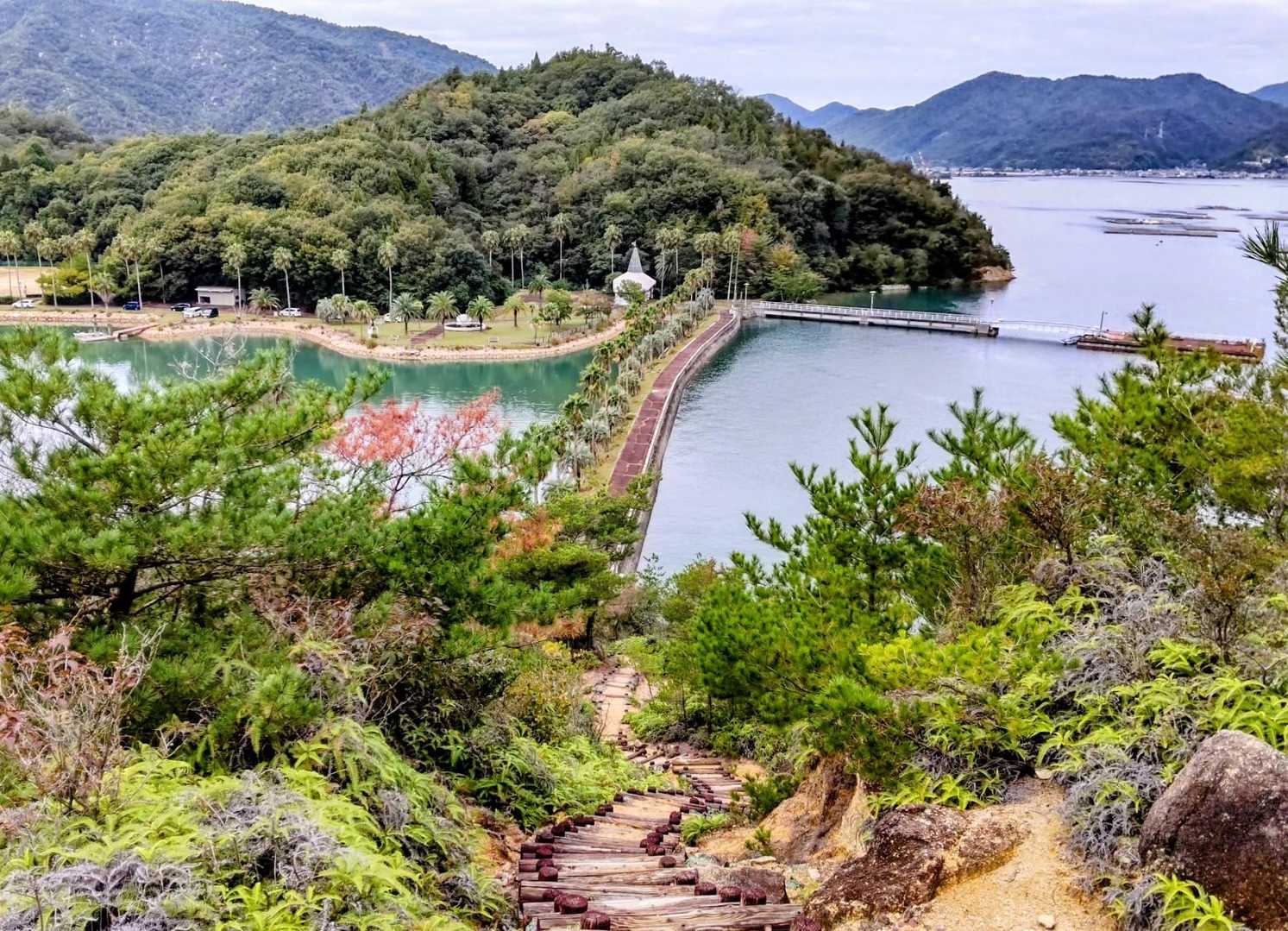 南国のような景色が見えてきます🌴
美味しそうなカレーの匂いもしてきます👃
シャトレーゼのレストランからかな🍴