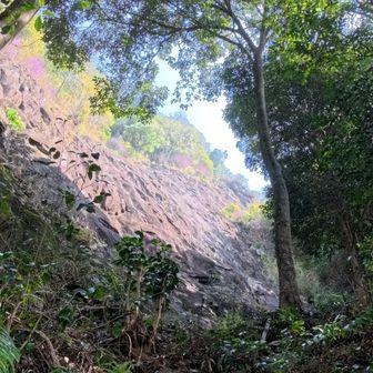 ここからロッククライ厶🪨でしょうね