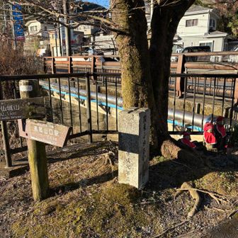 関東ふれあいの道ー湖のみち、ここから出発。
高尾山口駅から梅ノ木平へのバスは午前中は１便（10時台）だけなので冬は時間的に使えません