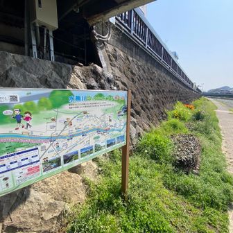 水無川ウォーキングコースを歩きます