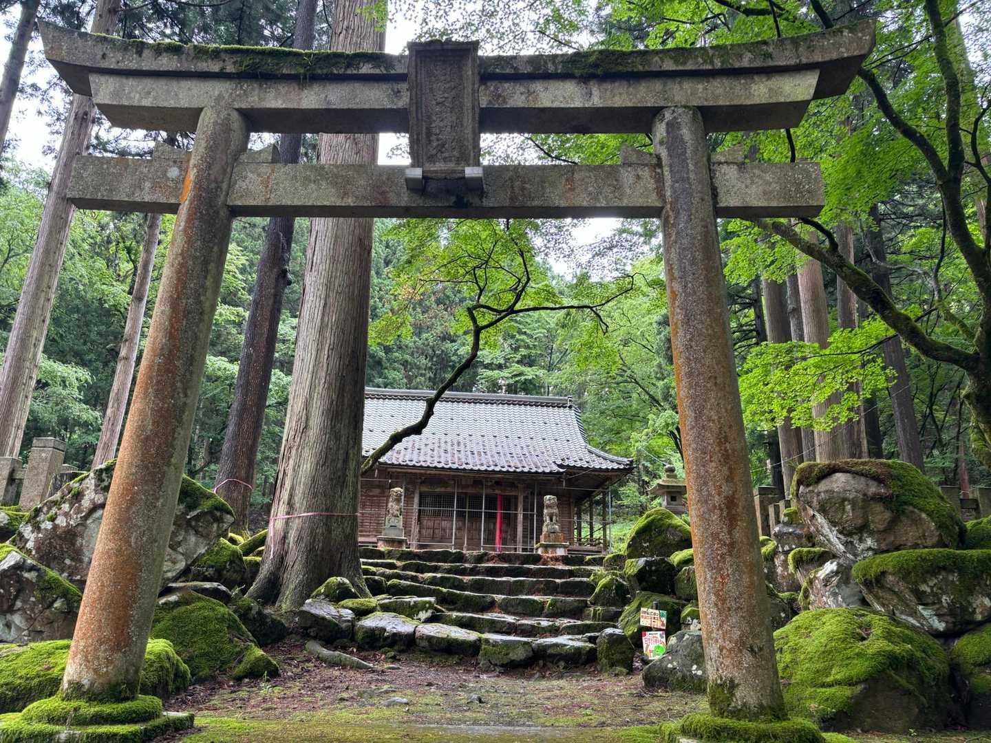ステキな神社です⛩️
