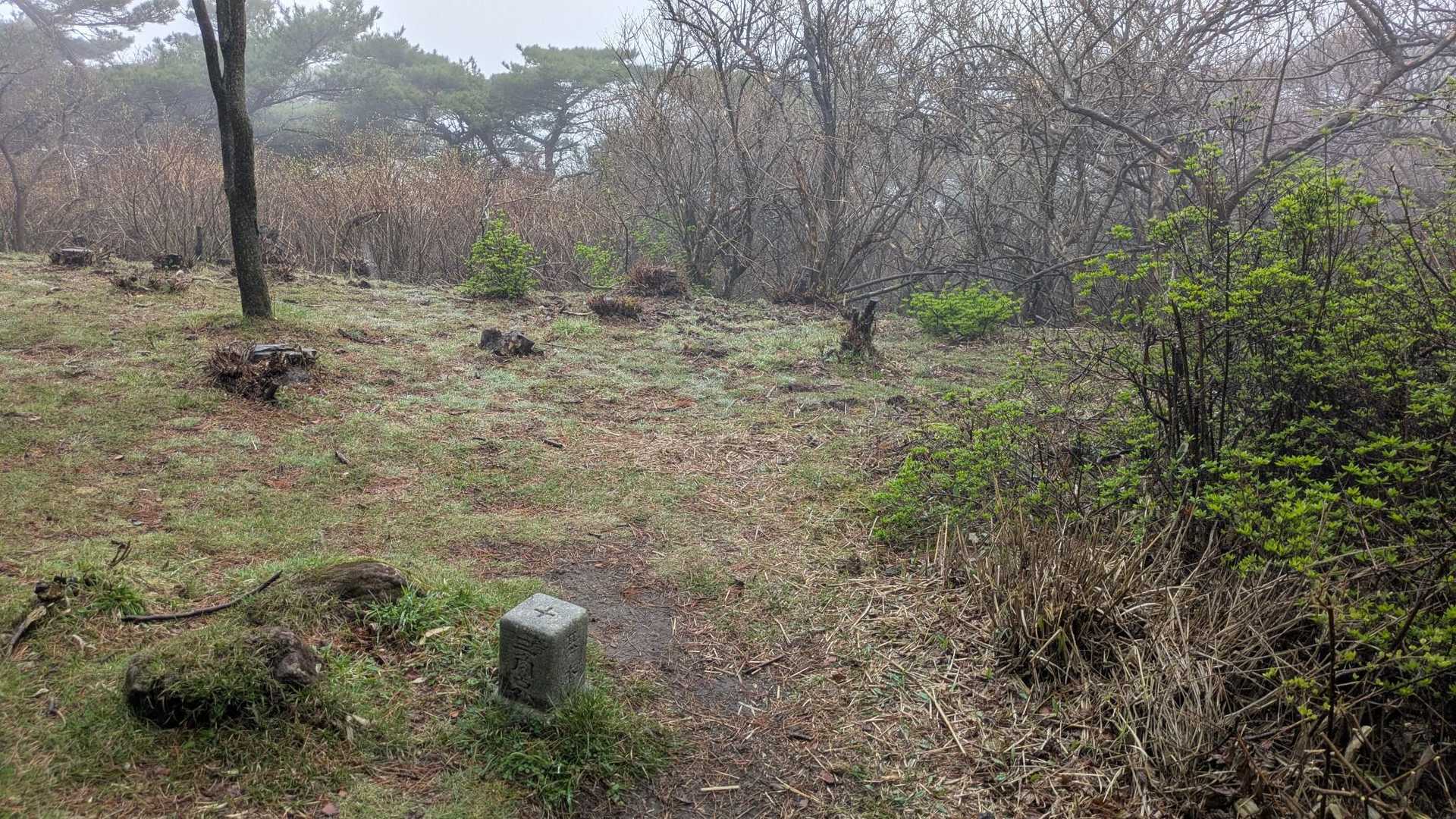 山頂は三角点だけ