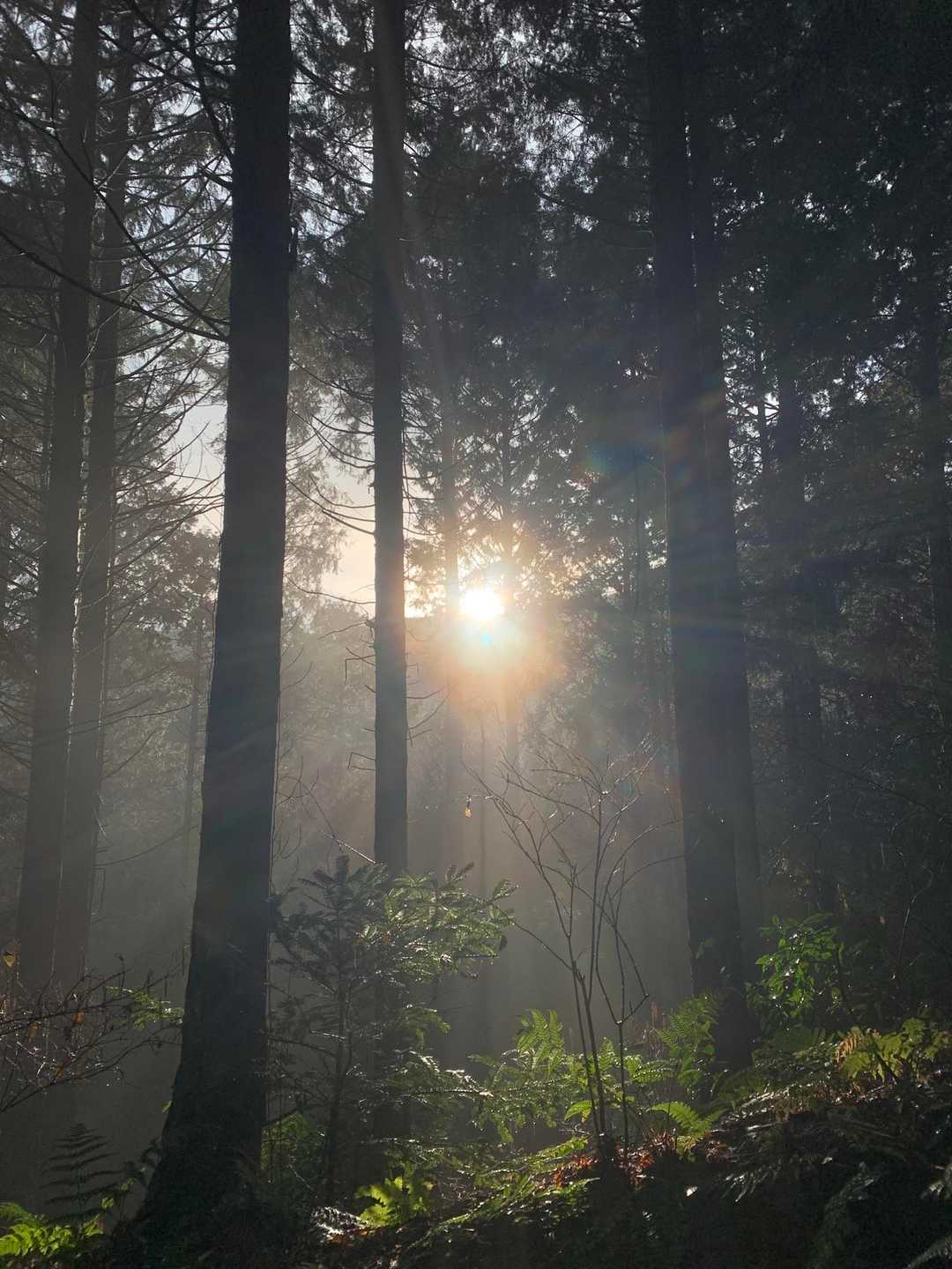 下山途中で初日の出🌅。ありがたいです😃