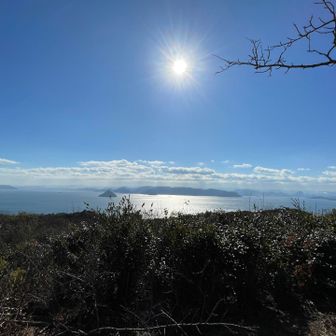 太陽が海面に反射して綺麗🤩