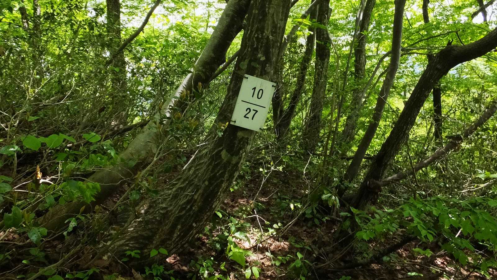 この数字ナニ？？？