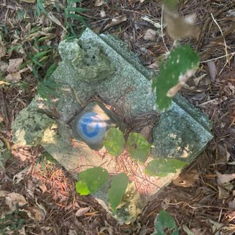 黄金森の一等基準点