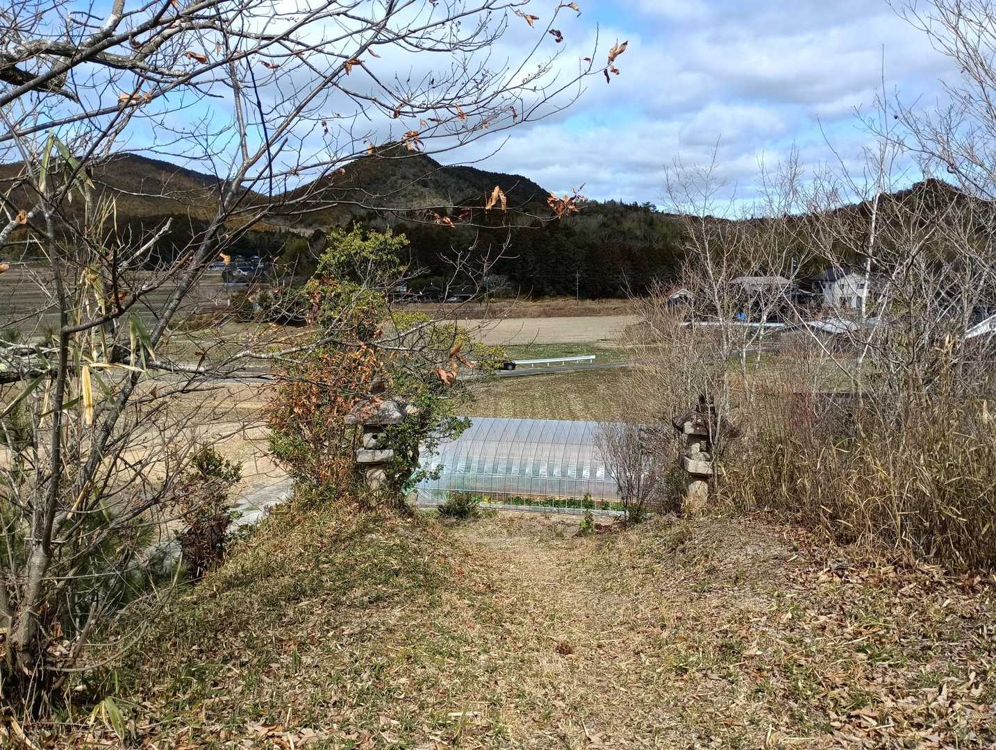 戻ってきた