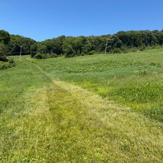 歩いてきたところ。
グルリした斜面は全て刈られています🙆‍♂️