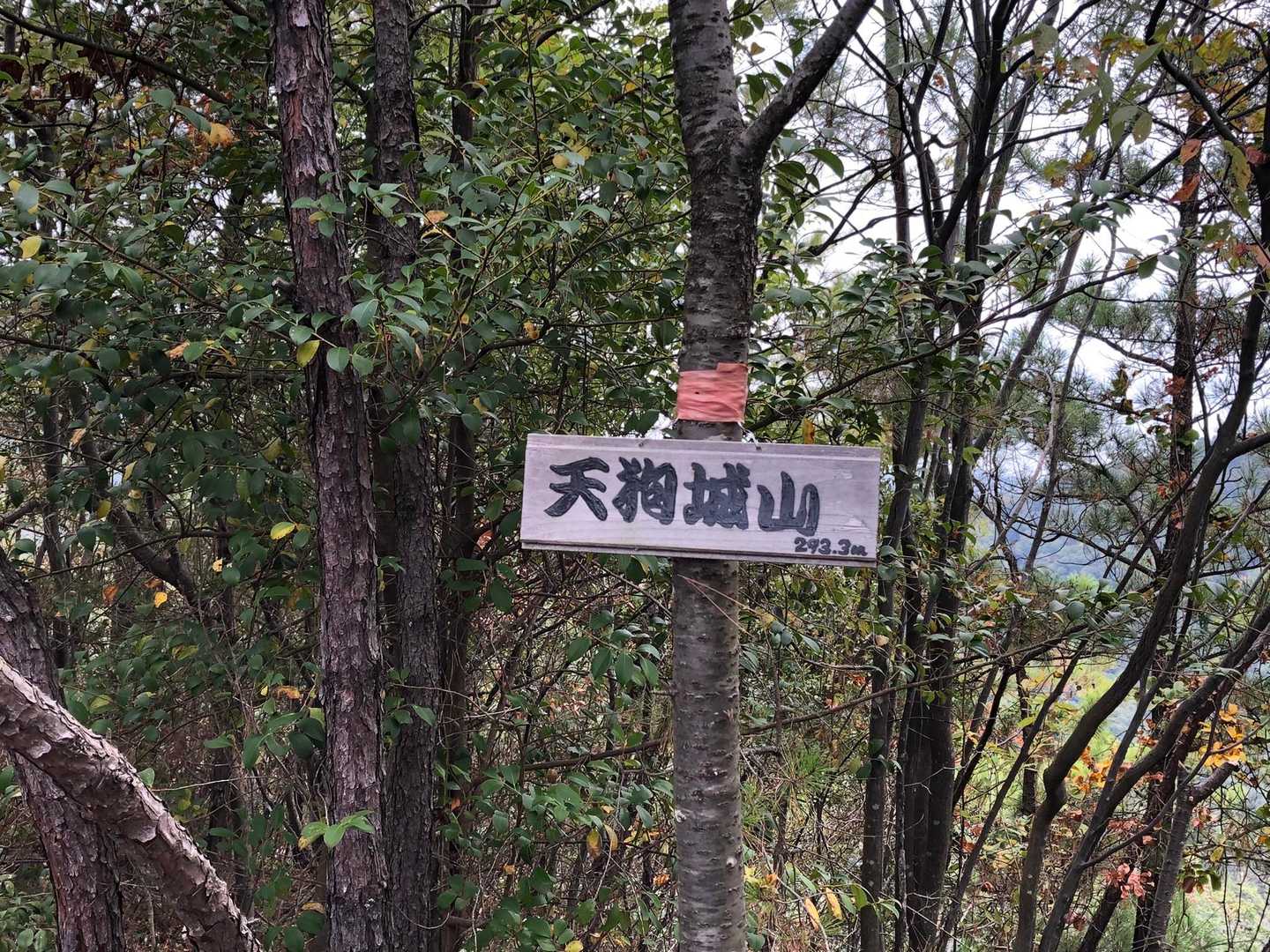 天狗城山 往復コースの写真