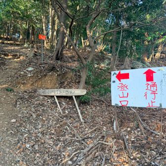 ここから山道。