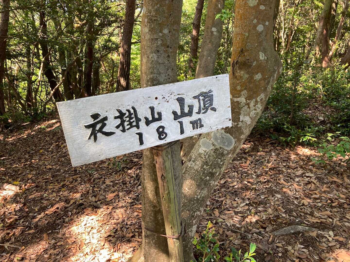 衣掛山（福井県）の写真