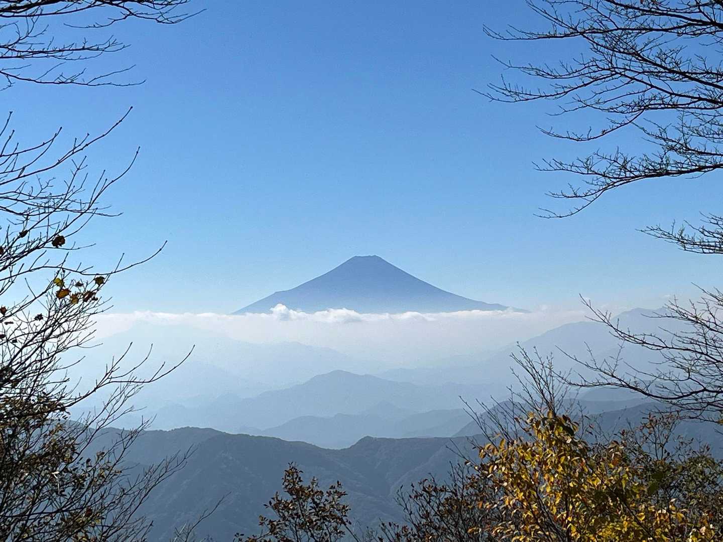 どーん