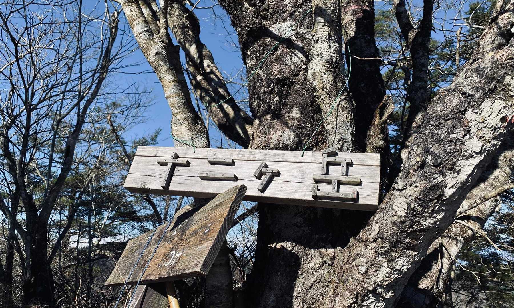 12ヶ岳到着👣
さて、楽しかったけれど、ここをアスレチックと呼んで良いのか🤔？