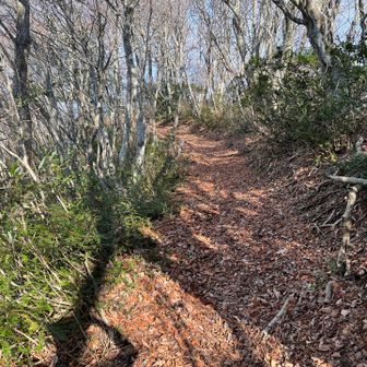 稜線歩きは風があるから助かる。既に汗だくです。