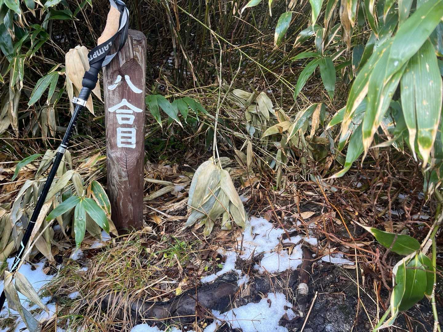 ８合目…