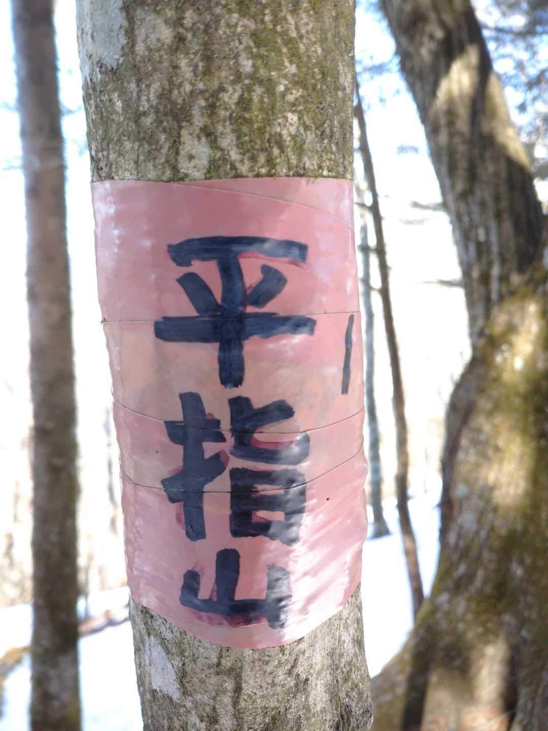 「平指山」です。
こちらも何も御座いません。