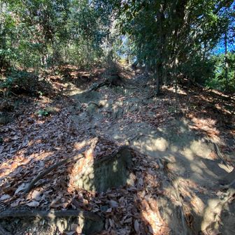 ハイキング山にあるまじきスタートからの100m
ほんと😱です。笑