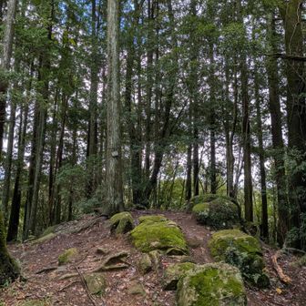 臥牛山のピークは牛が伏せて見えることからついた山名だそうです🐂