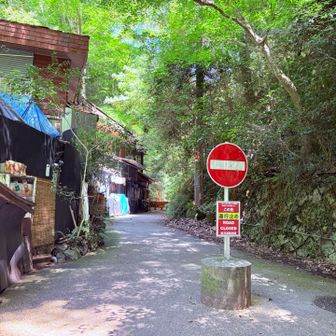 ここから先は まだ 侵入禁止みたい。
迂回路が
手前 左手の階段を降りて 向こう岸の 遊歩道（いままで 気味の悪い 薄汚れてそうな古いトイレがあって 
あんなとこ絶対に通らん、と思ってた向こうがわ。
トイレきれいになってた。）
滝の手前の  紅い橋まで行ける。

でも車イスだと 滝まではやっぱここ行かないと無理やなぁ