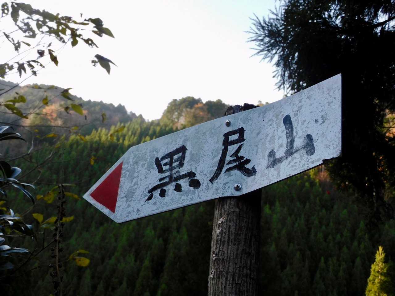 標識が出てくると安心しますね😊
