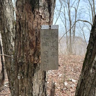 桃ノ木平　北峰到着🙌