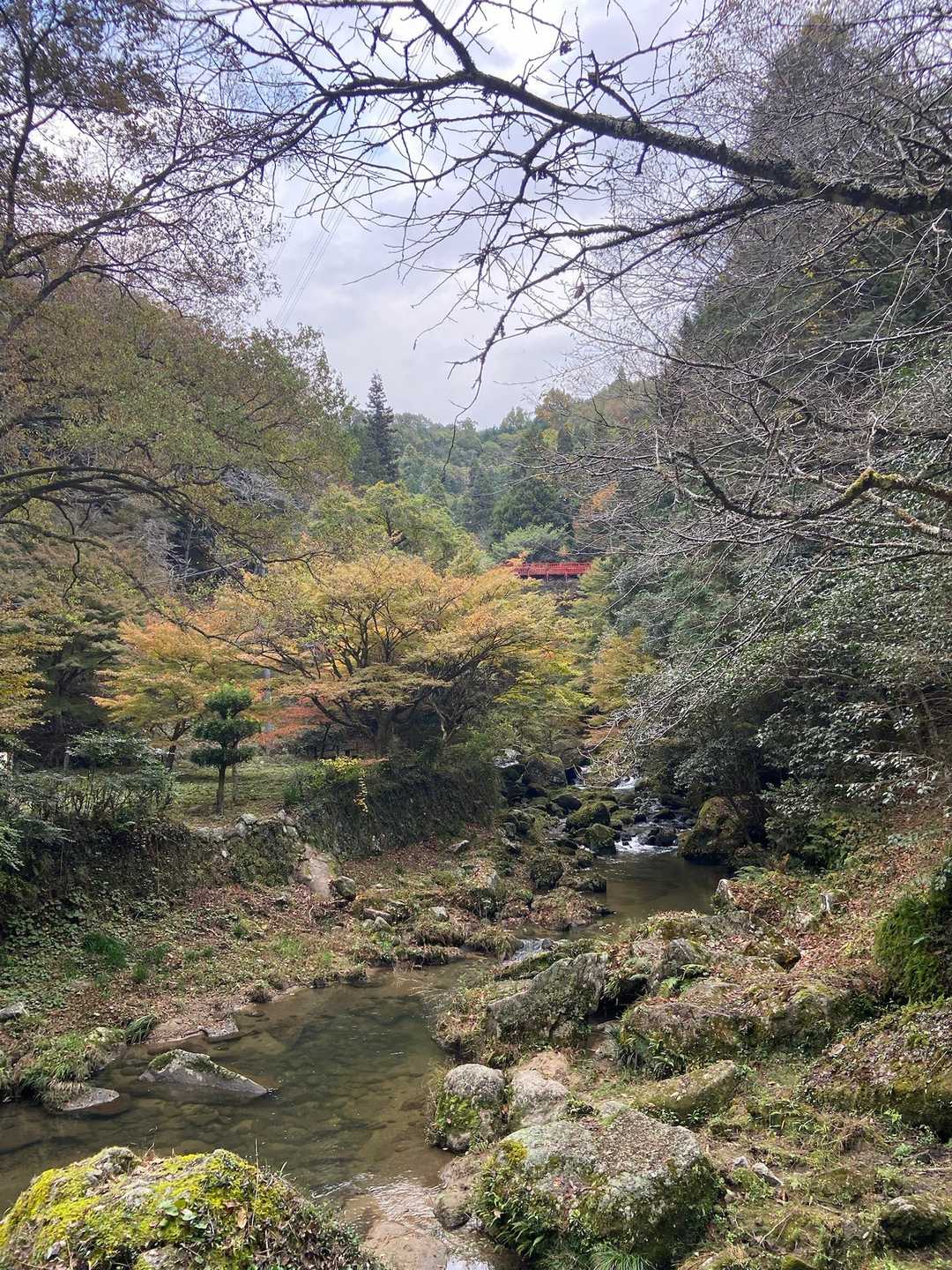 梟ヶ城址展望台 周回コースの写真