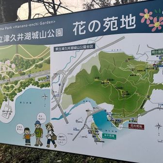 今度は花の咲いている時期に🌸