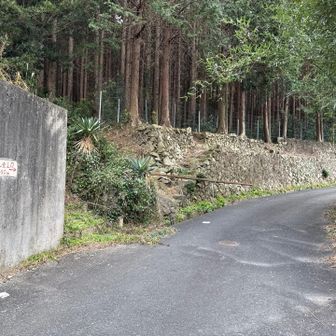 砥神山登山道へ向かいます