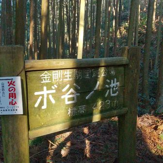 ダイトレ途中の「ボ谷ノ池」