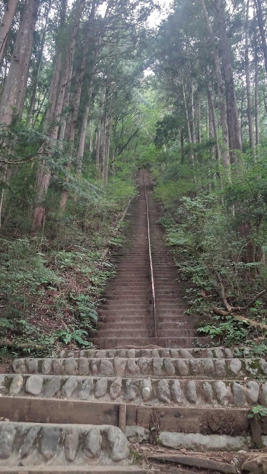 愛宕山-登計トレイル-登計橋 周回コースの写真