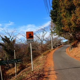 ここから奥武蔵グリーンラインを横切ったり戻ったりを繰り返します。