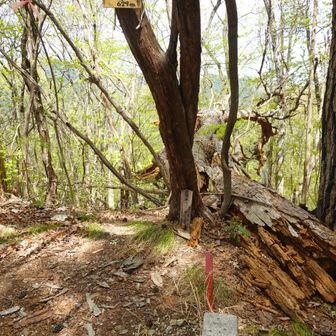 天狗山から少し歩いて古峯山