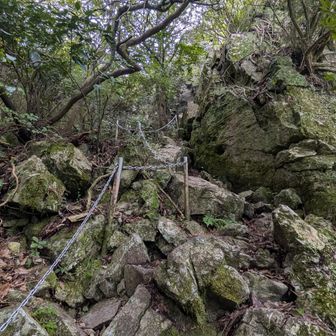 ここから正念場