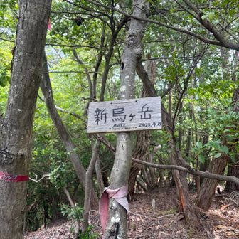 水分100ml(500ml)
エナジージェル１個