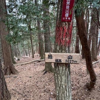 ついでに「旭山」へも行きました
こちらも景観ない
YAMAP上、苗敷山〜旭山の間は破線ルートですがススキも伐採して頂き問題なく往復出来ました