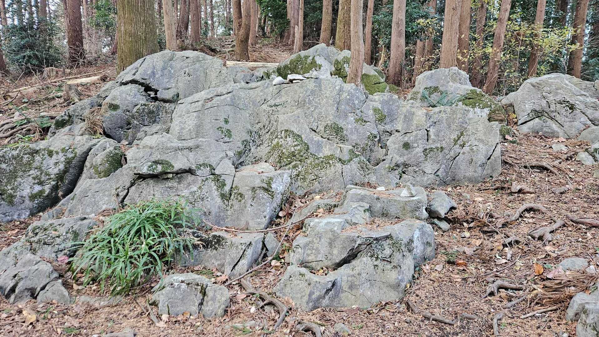 白石様