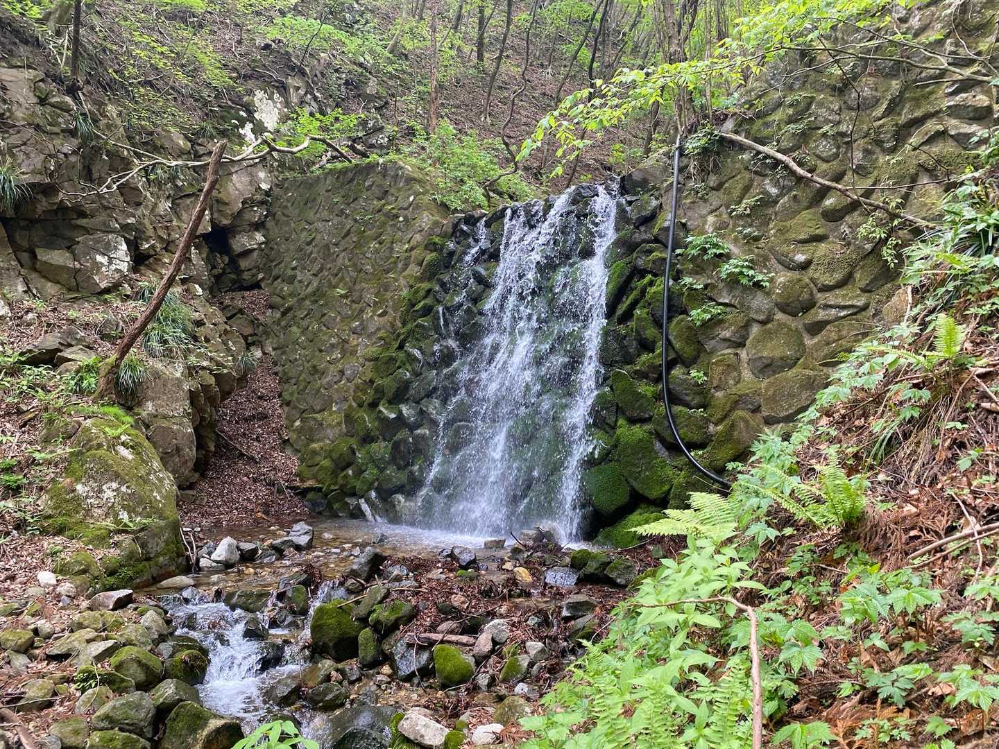 安戸山 往復コースの写真
