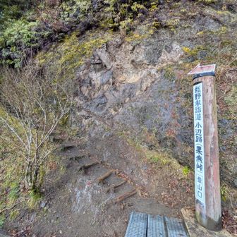 最後の峠へ
温泉が良かったのか痛みも少なくなる