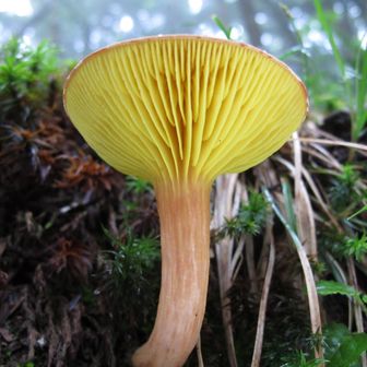 さんずいみっつ