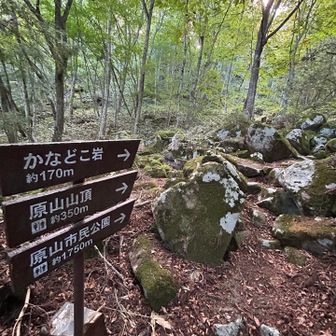 ではここから再び原山山頂へ