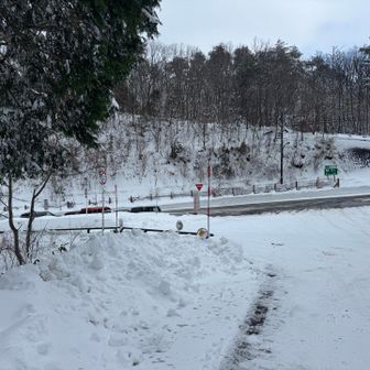 スタート地点まで戻りました