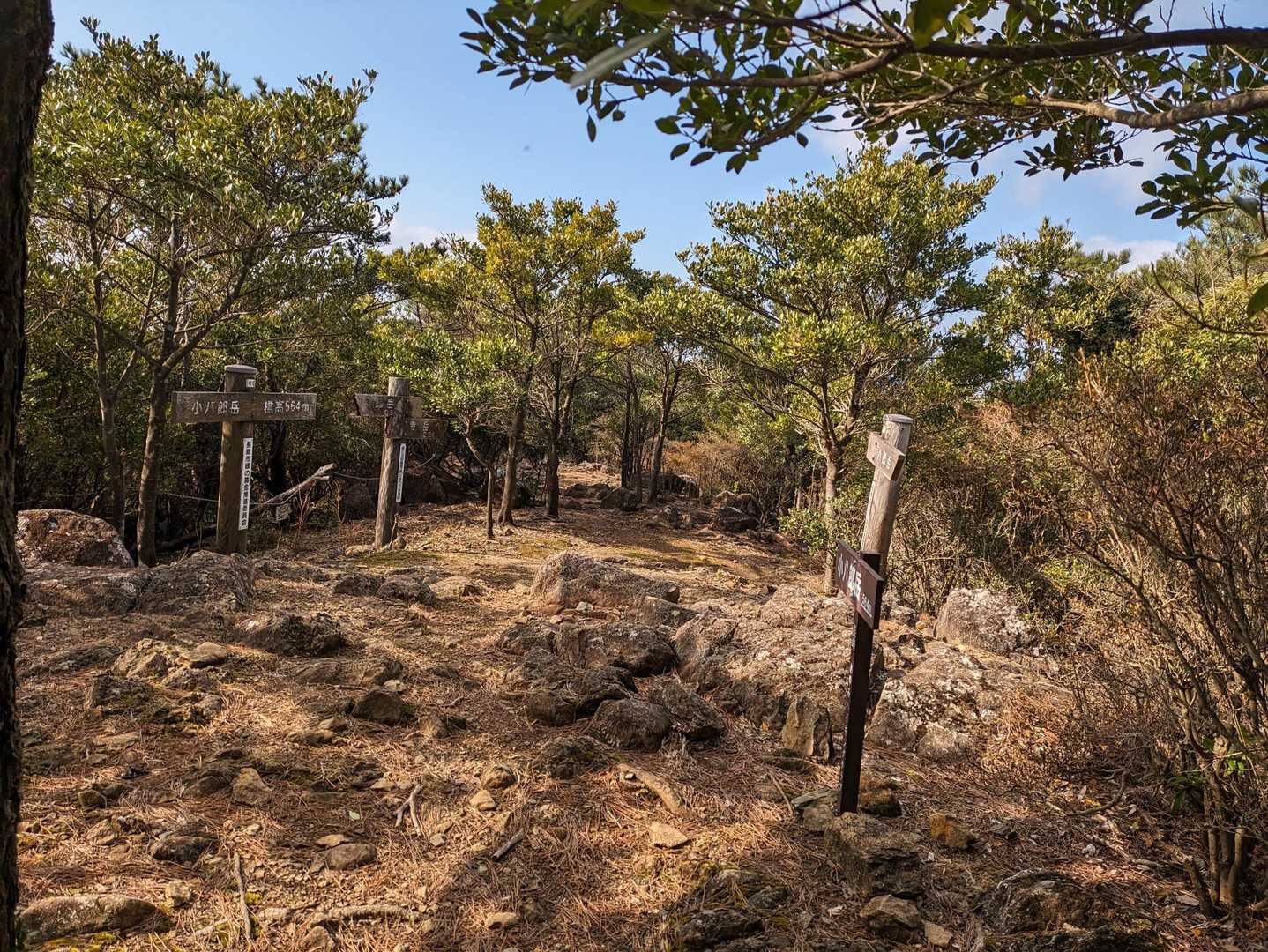 小八郎岳山頂