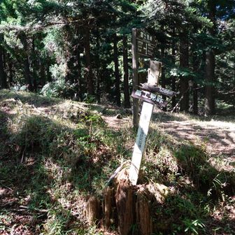 登り始めて50分くらいで富士見峠