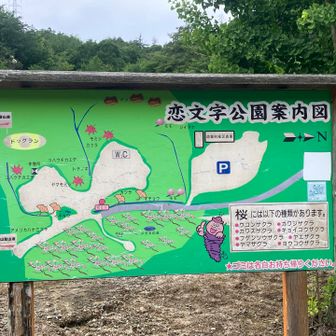 桜の季節は良さげですね。