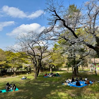 ゆったり楽しそうなお花見(◍ ´꒳` ◍)
空いていて最高〜💕
