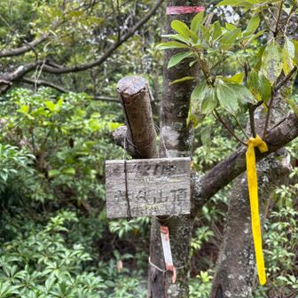 がっつり休憩して山頂経由で下山します。