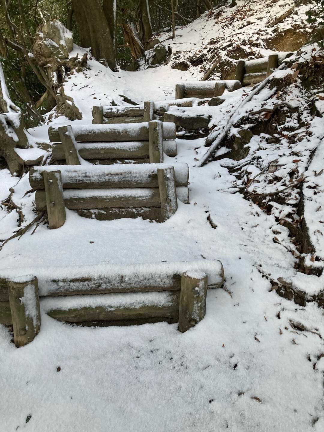 叶岳・高地山 ピストンルートの写真