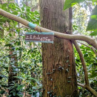 上王丸山 山頂  ﾊﾟｼｬﾘ📸