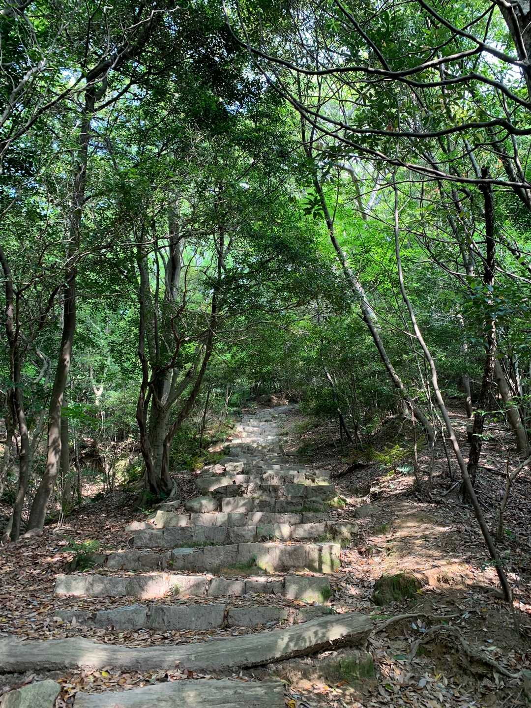 松小田登山口 往復コースの写真